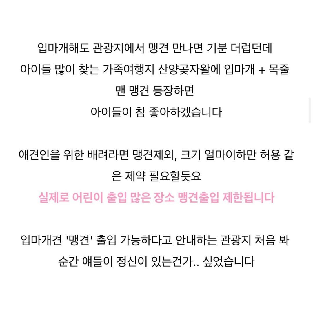 다시-논란인-여행-블로거의-제주-산양곶자왈-리뷰-4-이미지