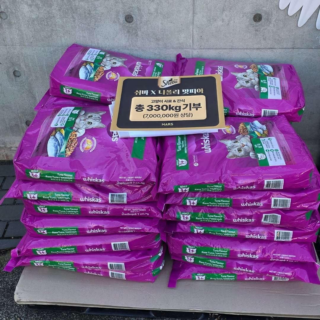 유기묘-보호소에-간식+사료-기부한-나폴리-맛피아-3-이미지