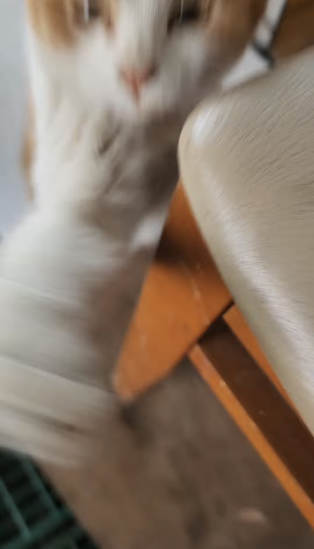 암살당할뻔함-2-이미지