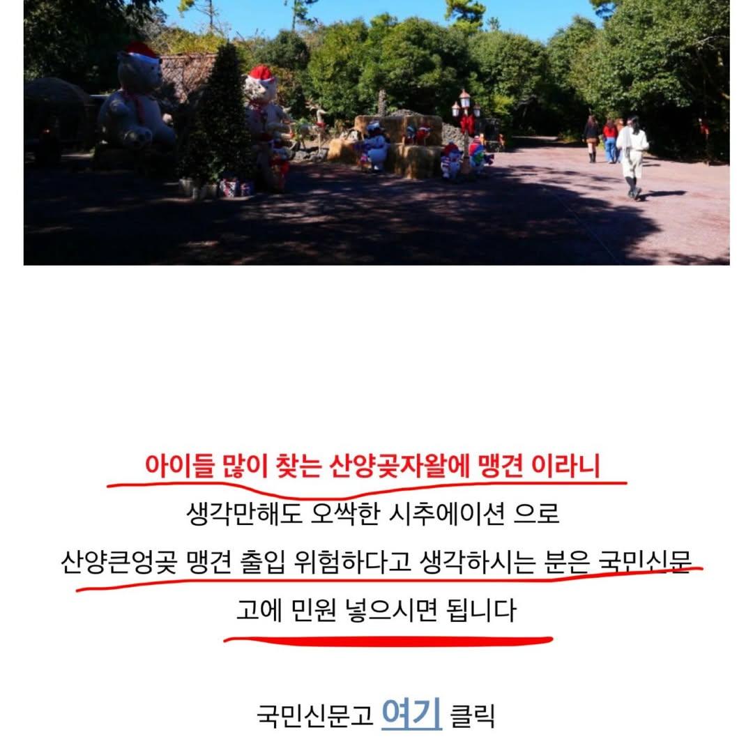 다시-논란인-여행-블로거의-제주-산양곶자왈-리뷰-7-이미지