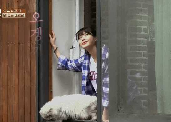 8년전-효리네-민박-속-아이유.gif-17-이미지