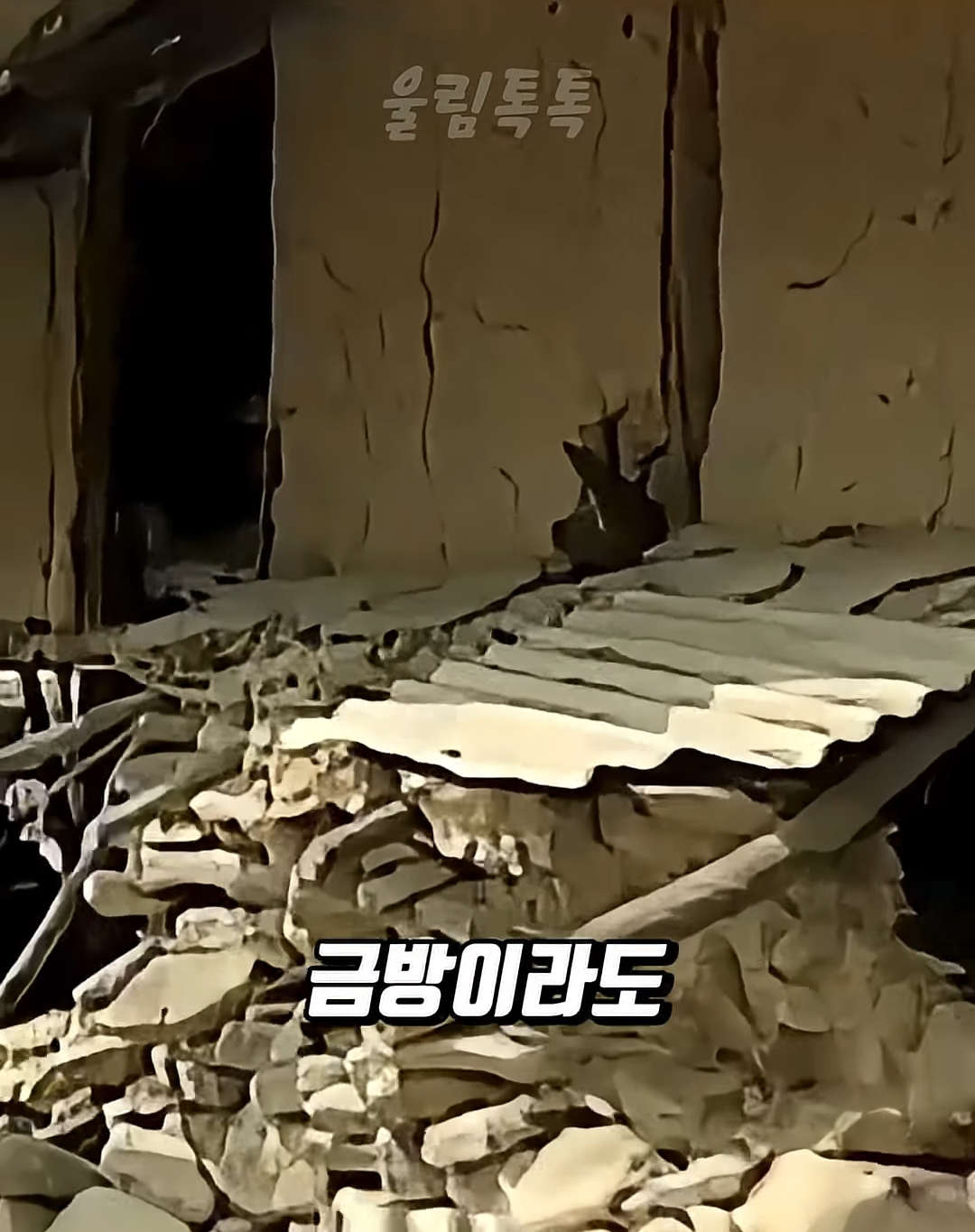 부모없는-3남매를-7년간-보살펴준-연예인-5-이미지