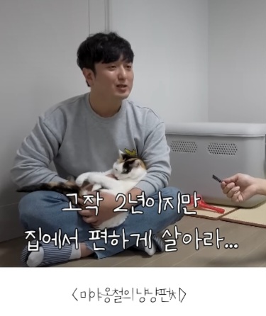 길고양이를-12년간-임보한-사람-4-이미지