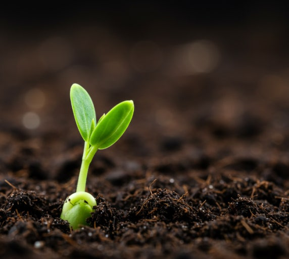 돈-많은-사주-특징-26-이미지