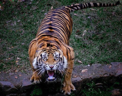 한국인이-세계적으로-냄새.체취가-안-나는-이유-10-이미지
