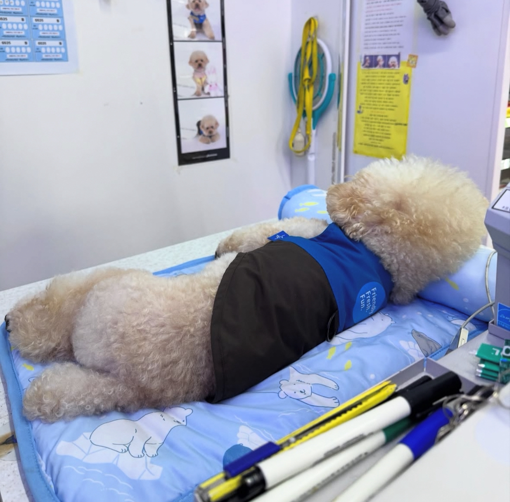 실시간-난리난-편의점에서-이불깔고-베개베고-누워있는-점장-2-이미지