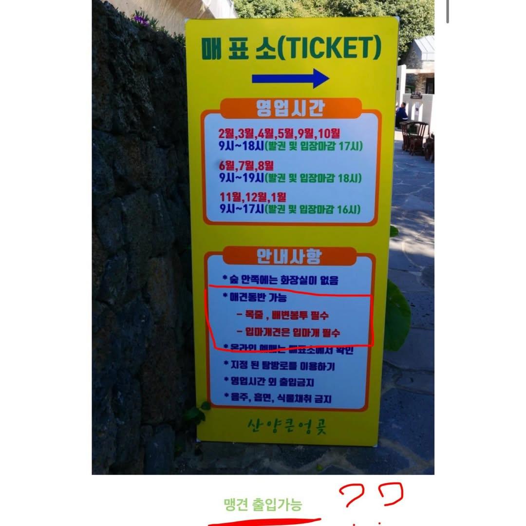 다시-논란인-여행-블로거의-제주-산양곶자왈-리뷰-2-이미지