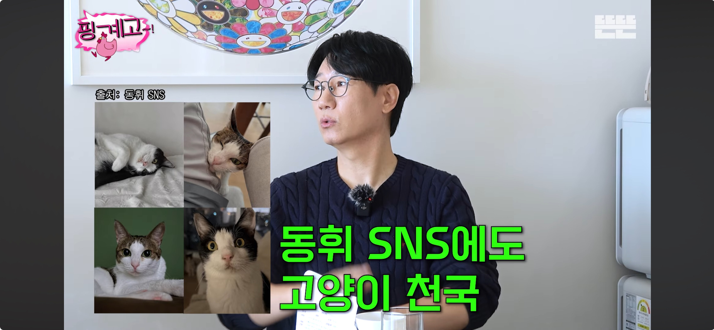 이동휘가-고양이-입양하고-깨달은-점-0-이미지