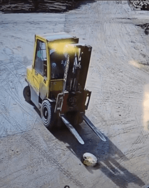 지게차-고인물-0-이미지