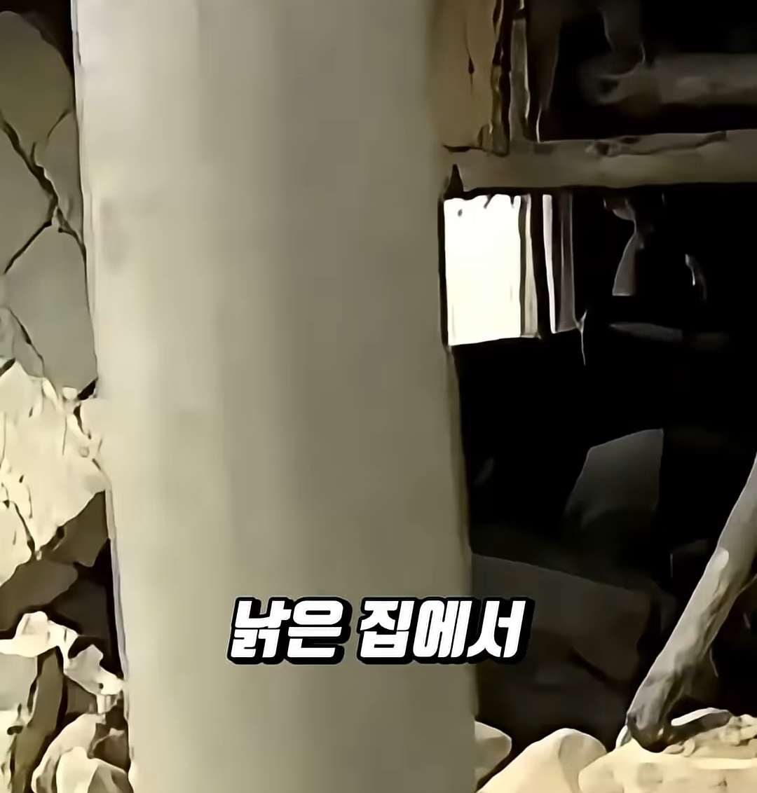 부모없는-3남매를-7년간-보살펴준-연예인-7-이미지