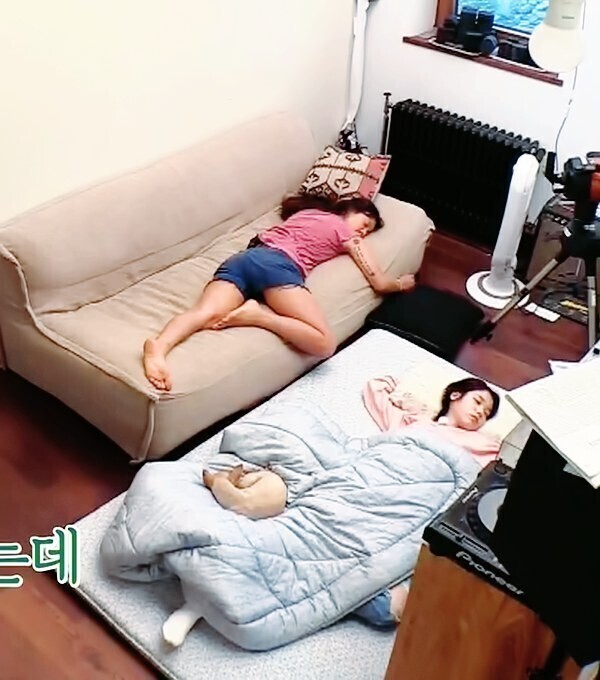 8년전-효리네-민박-속-아이유.gif-47-이미지