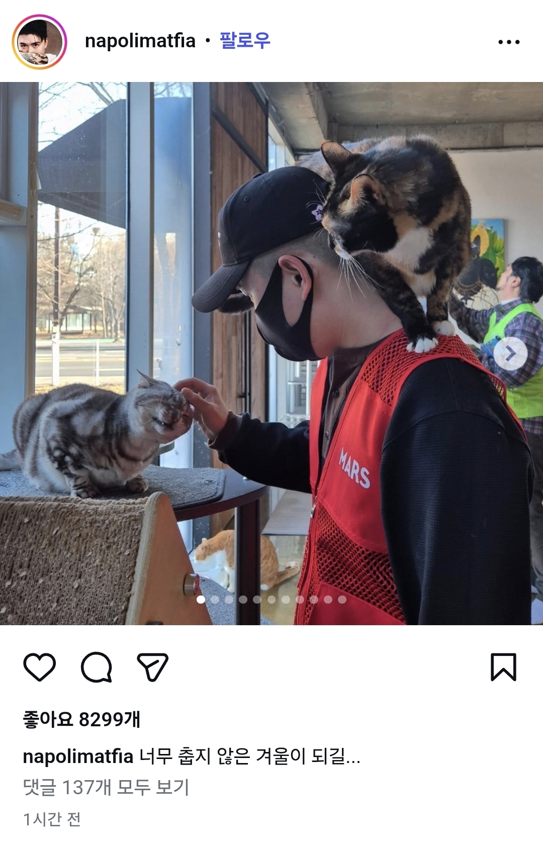 유기묘-보호소에-간식+사료-기부한-나폴리-맛피아-0-이미지