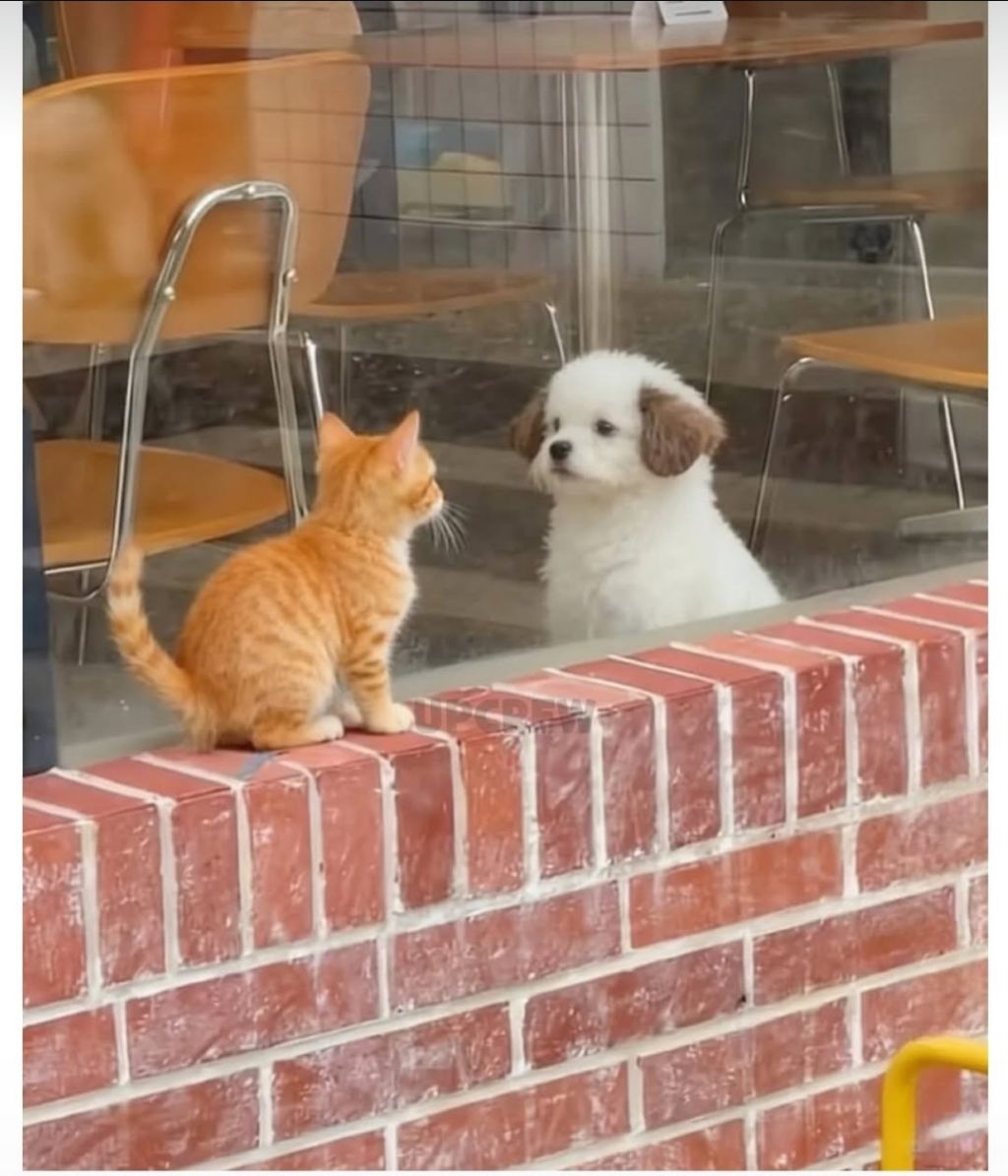 세상-무해한-투샷.jpg-1-이미지