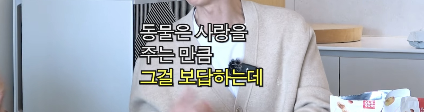 이동휘가-고양이-입양하고-깨달은-점-14-이미지