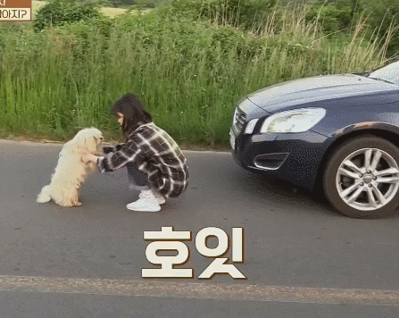 8년전-효리네-민박-속-아이유.gif-42-이미지