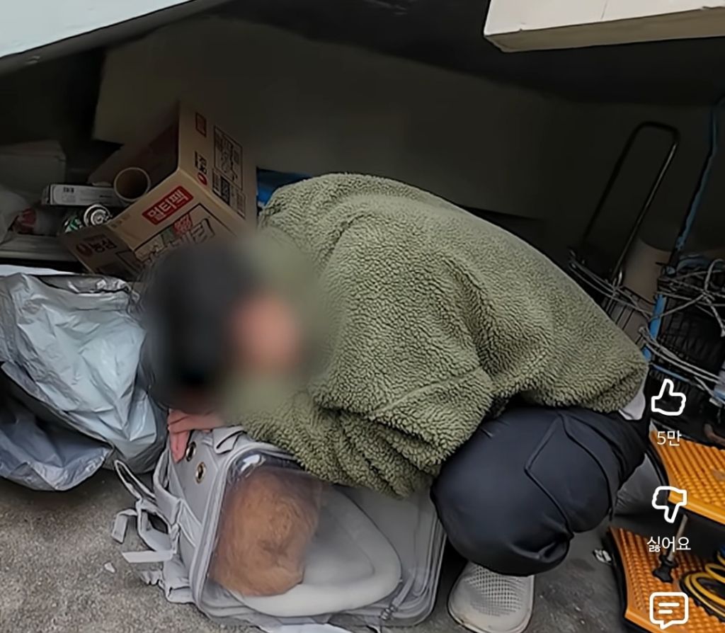 고양이-잃어버렸던-집사가-보자마자-무너진-흔적ㅠ-8-이미지