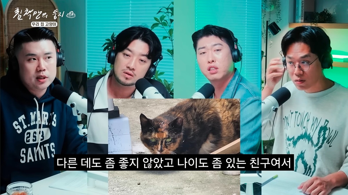 유기묘-보호소에-간식+사료-기부한-나폴리-맛피아-19-이미지