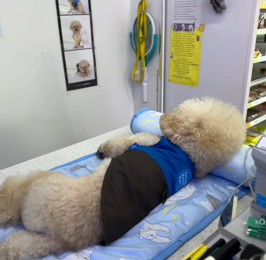 실시간-난리난-편의점에서-이불깔고-베개베고-누워있는-점장-1-이미지