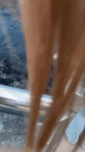 네모난-조개인-줄-알고-뚜까패는-해달-0-이미지