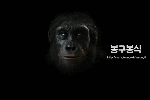 50살이된-우주선-보이저-1호의-현재-위치와-지구로부터의-거리-82-이미지