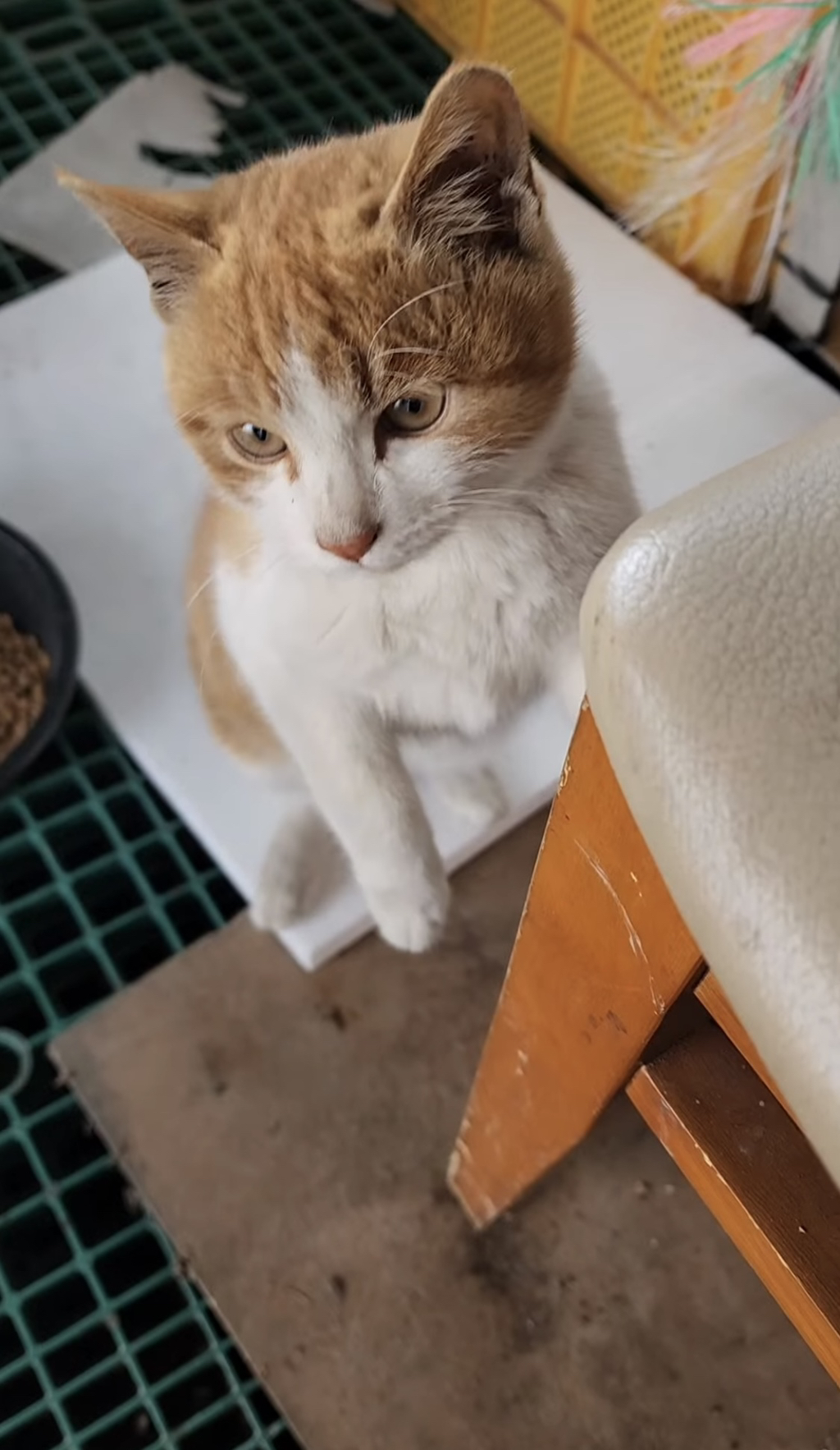 암살당할뻔함-3-이미지