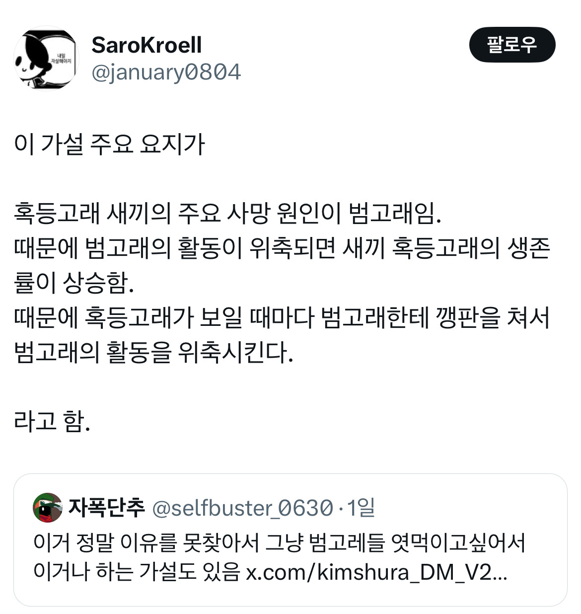 요즘-혹등고래가-범고래-사냥-방해하는게-관찰-된다는데.twt-3-이미지