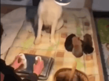 도박으로-온-가족을-잃은-가장...-0-이미지