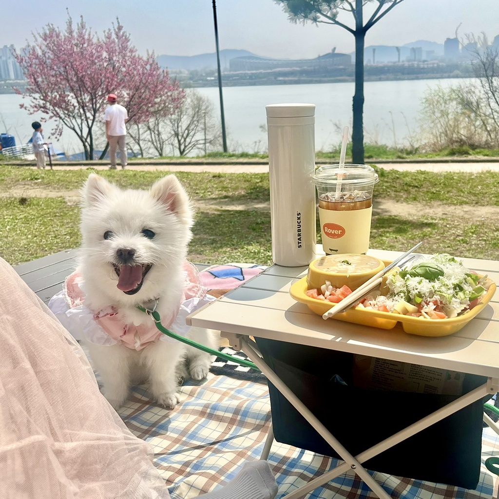 주댕이-털-면도했는데-이거-어캄?!!!-3-이미지