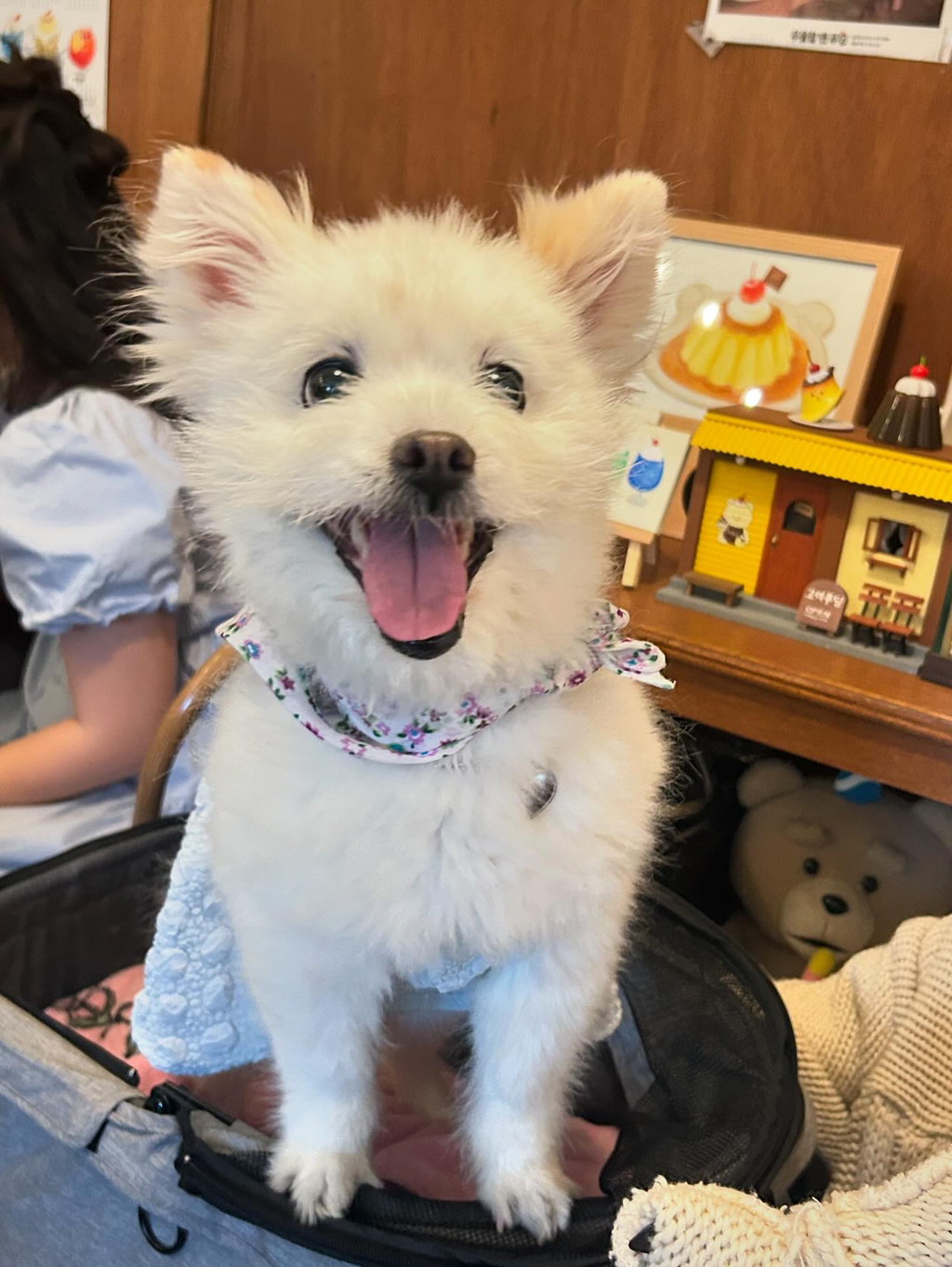 주댕이-털-면도했는데-이거-어캄?!!!-39-이미지