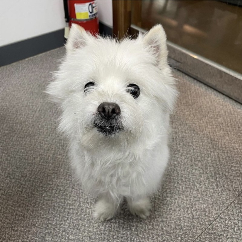 주댕이-털-면도했는데-이거-어캄?!!!-49-이미지