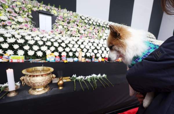 “죽음은-예기치-않게-되살아났다”…제주항공-참사-유족-고통-여전-5-이미지