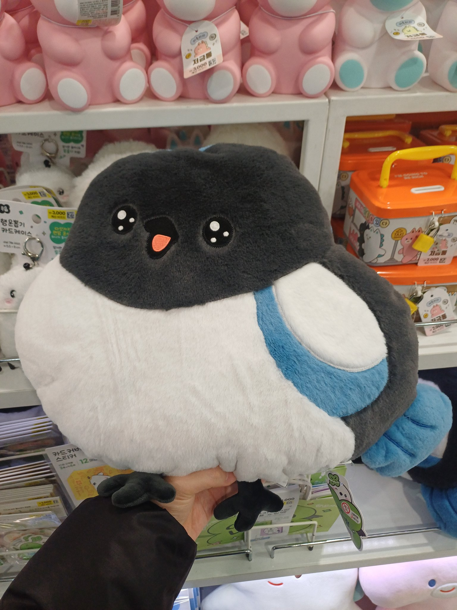 다이소-신상-까치인형쿠션이-무지막지하게-귀엽다는-사실을-알립니다-0-이미지