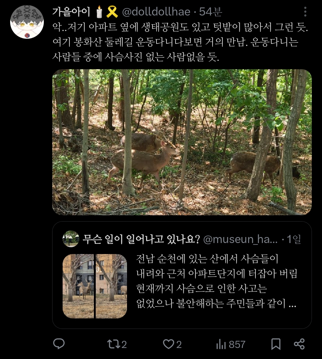 좋은-일을-해서-축복-받은-듯한-도시.jpg-18-이미지