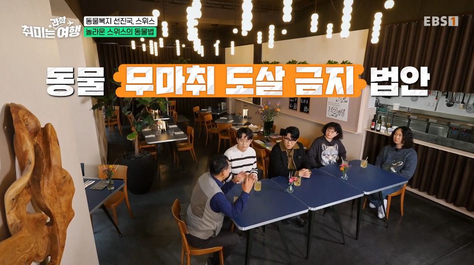 132년전부터-동물-무마취-도살법-등록했다는-스위스의-동물법.jpg-4-이미지