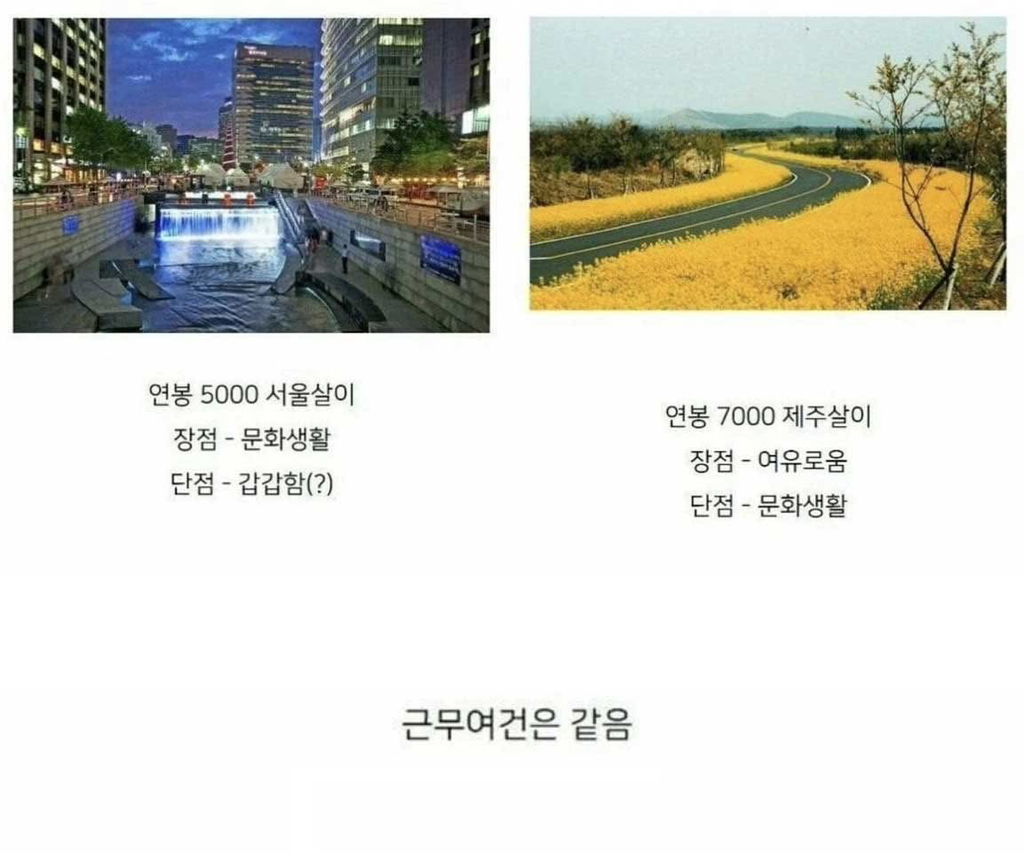 서울살이-대-제주살이-0-이미지