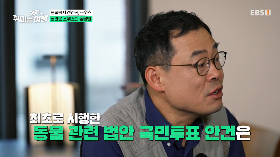 132년전부터-동물-무마취-도살법-등록했다는-스위스의-동물법.jpg-3-이미지