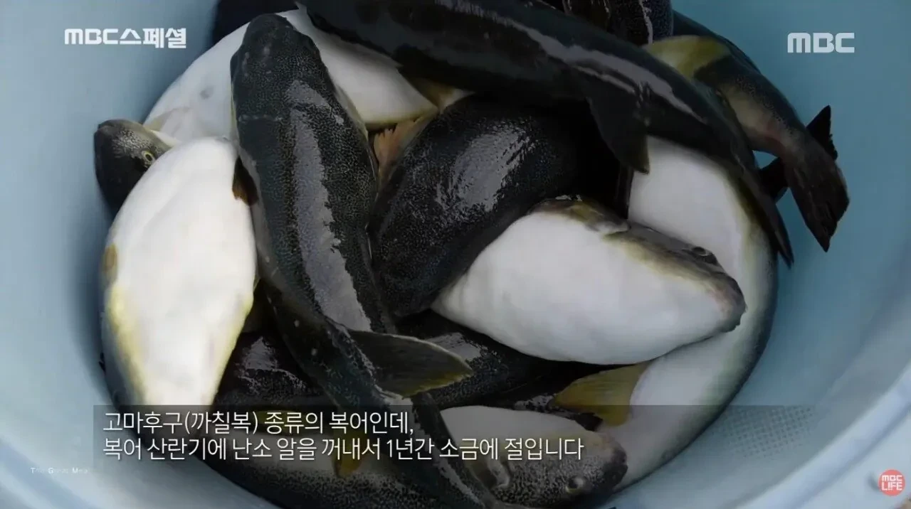 일본-단-세-개-마을에서만-제조가-허락된-복어-알-'누카즈케'-4-이미지