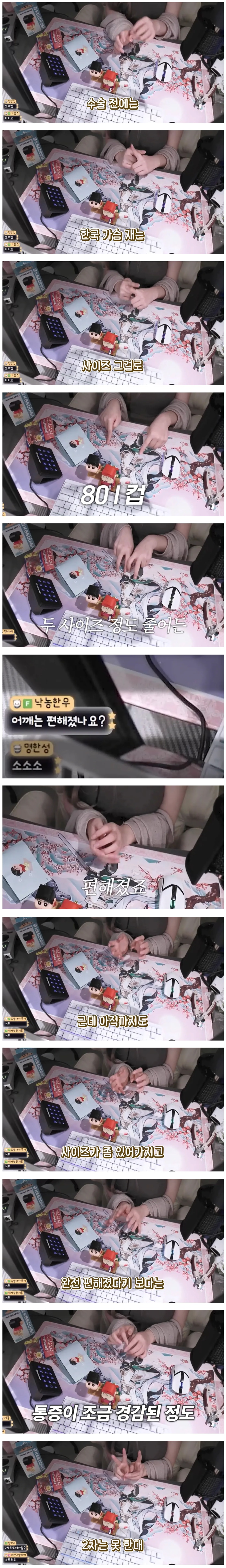 살기-위해-가슴-축소-수술을-했다는-유튜버-0-이미지