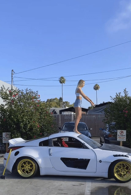 한국과-대만-영토-크기-비교-2-이미지