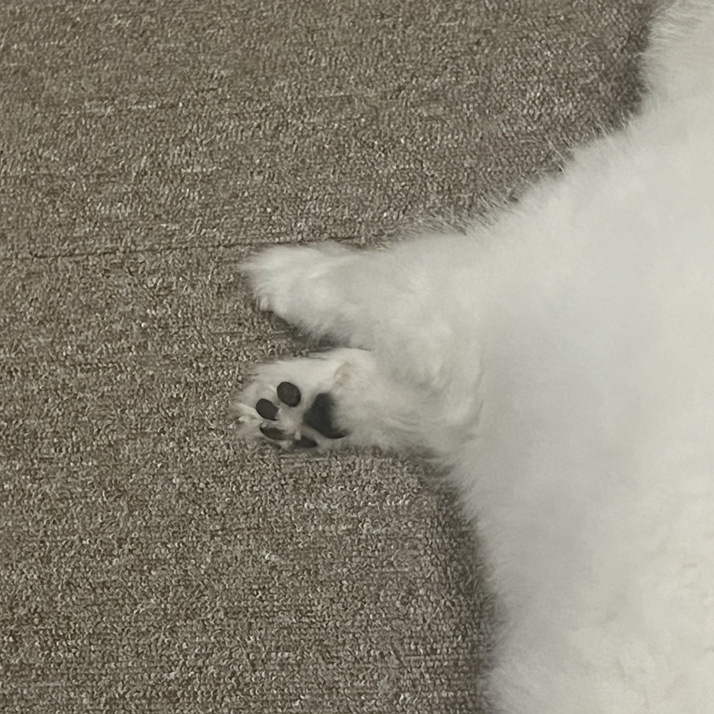 주댕이-털-면도했는데-이거-어캄?!!!-14-이미지