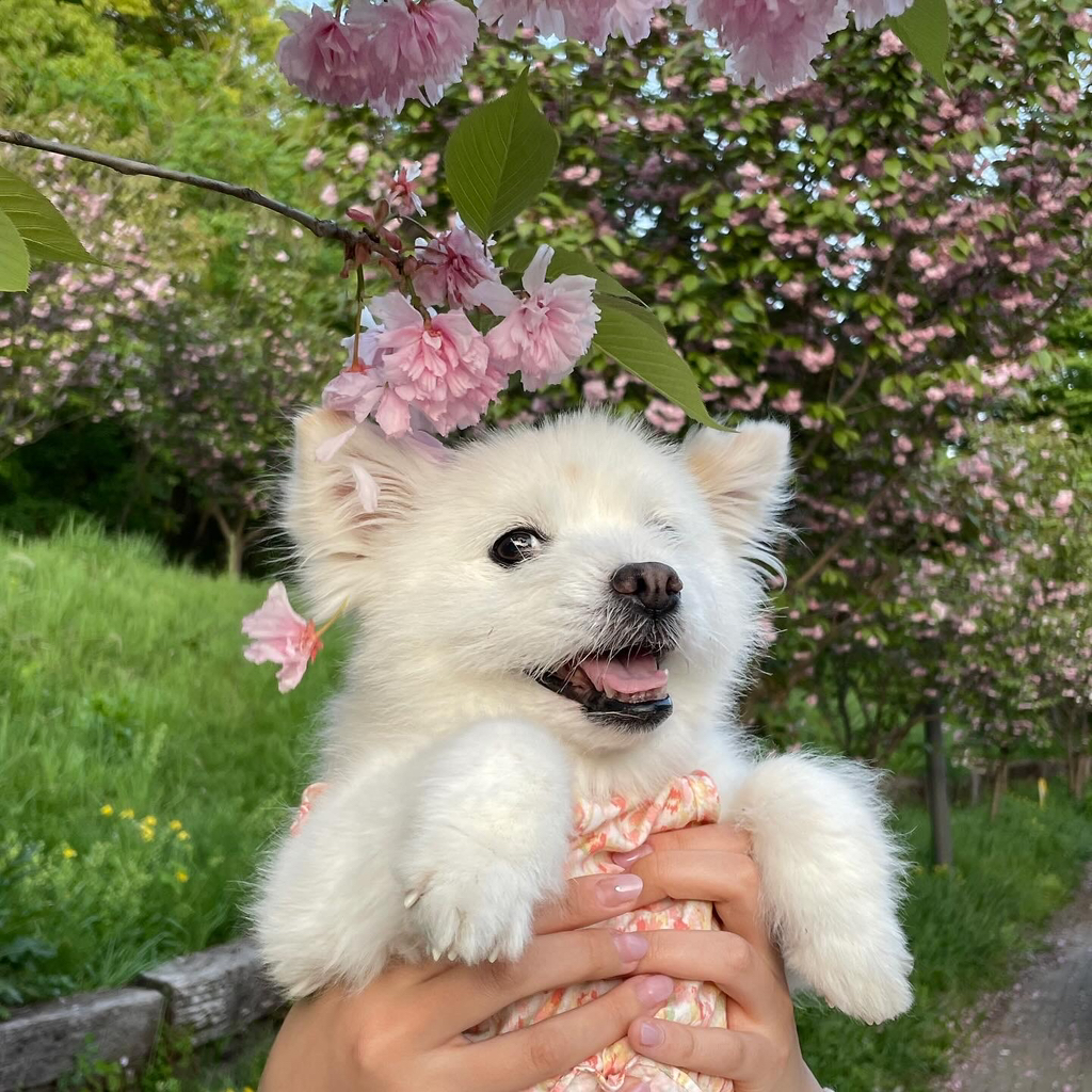 주댕이-털-면도했는데-이거-어캄?!!!-1-이미지