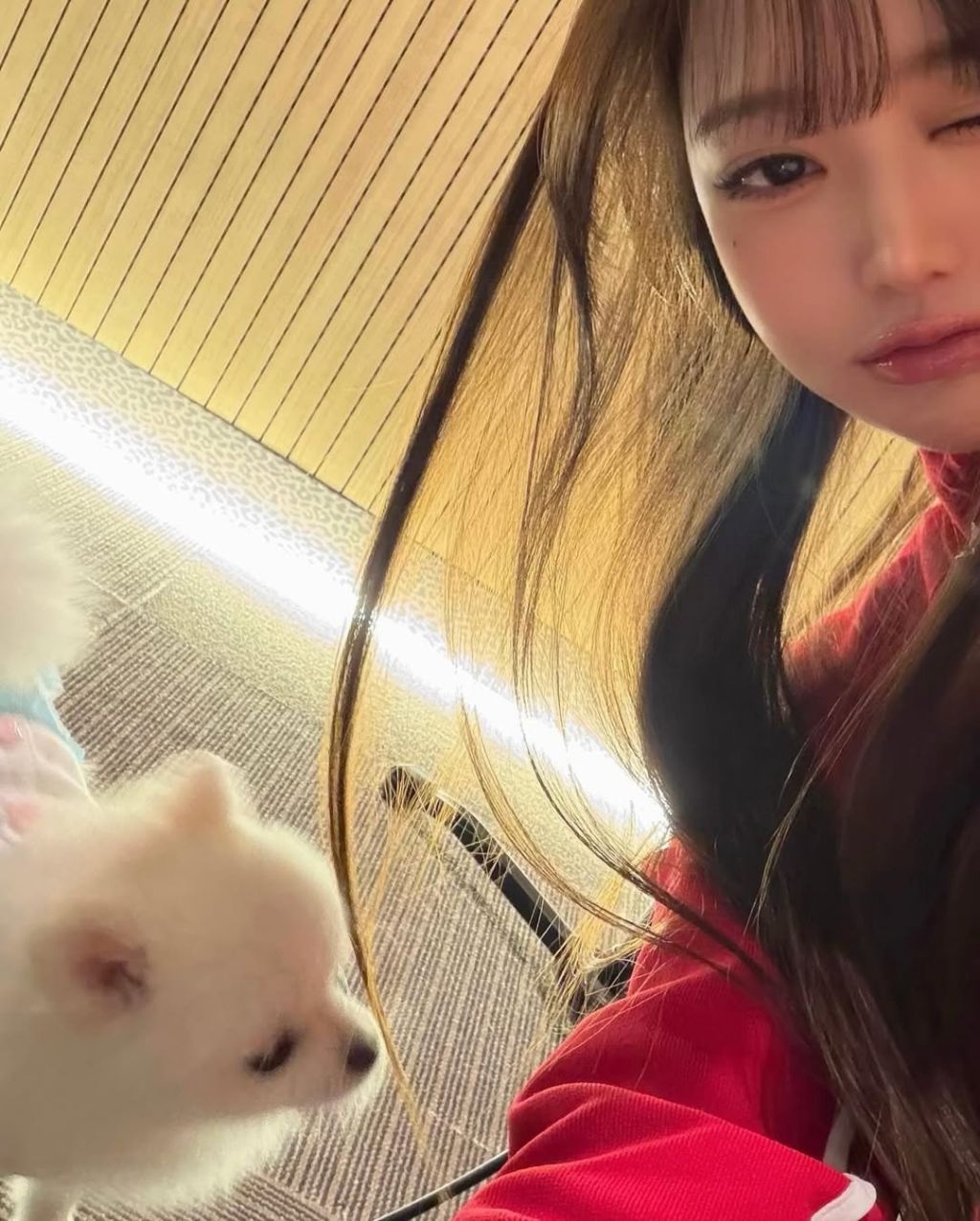 오늘자-아이브-장원영-인스타-5-이미지