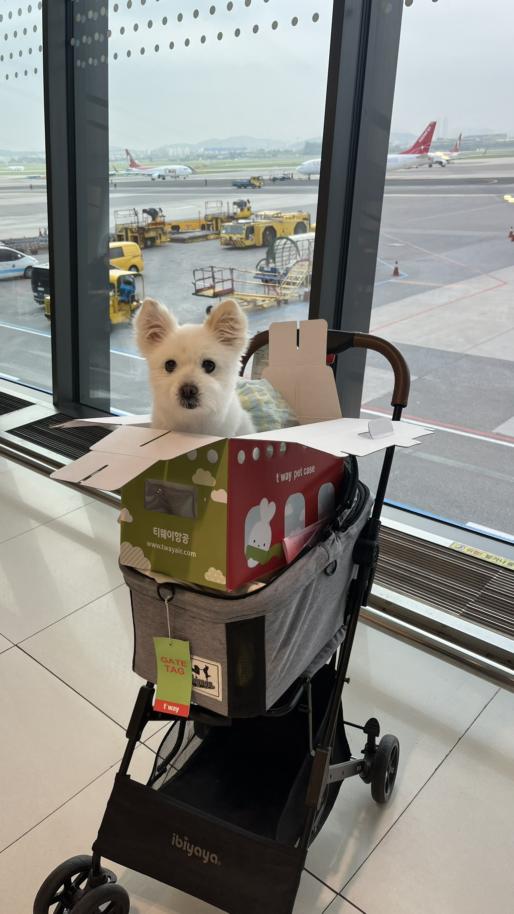 주댕이-털-면도했는데-이거-어캄?!!!-35-이미지