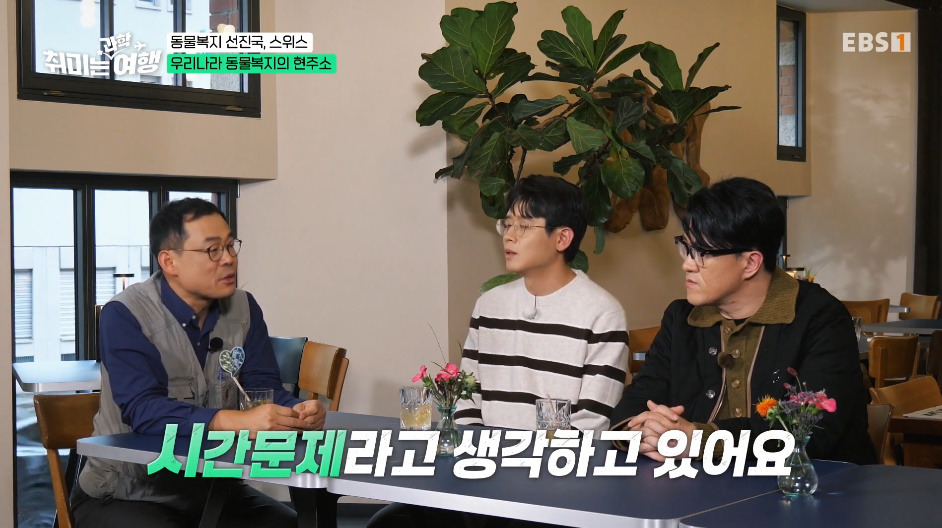 132년전부터-동물-무마취-도살법-등록했다는-스위스의-동물법.jpg-14-이미지