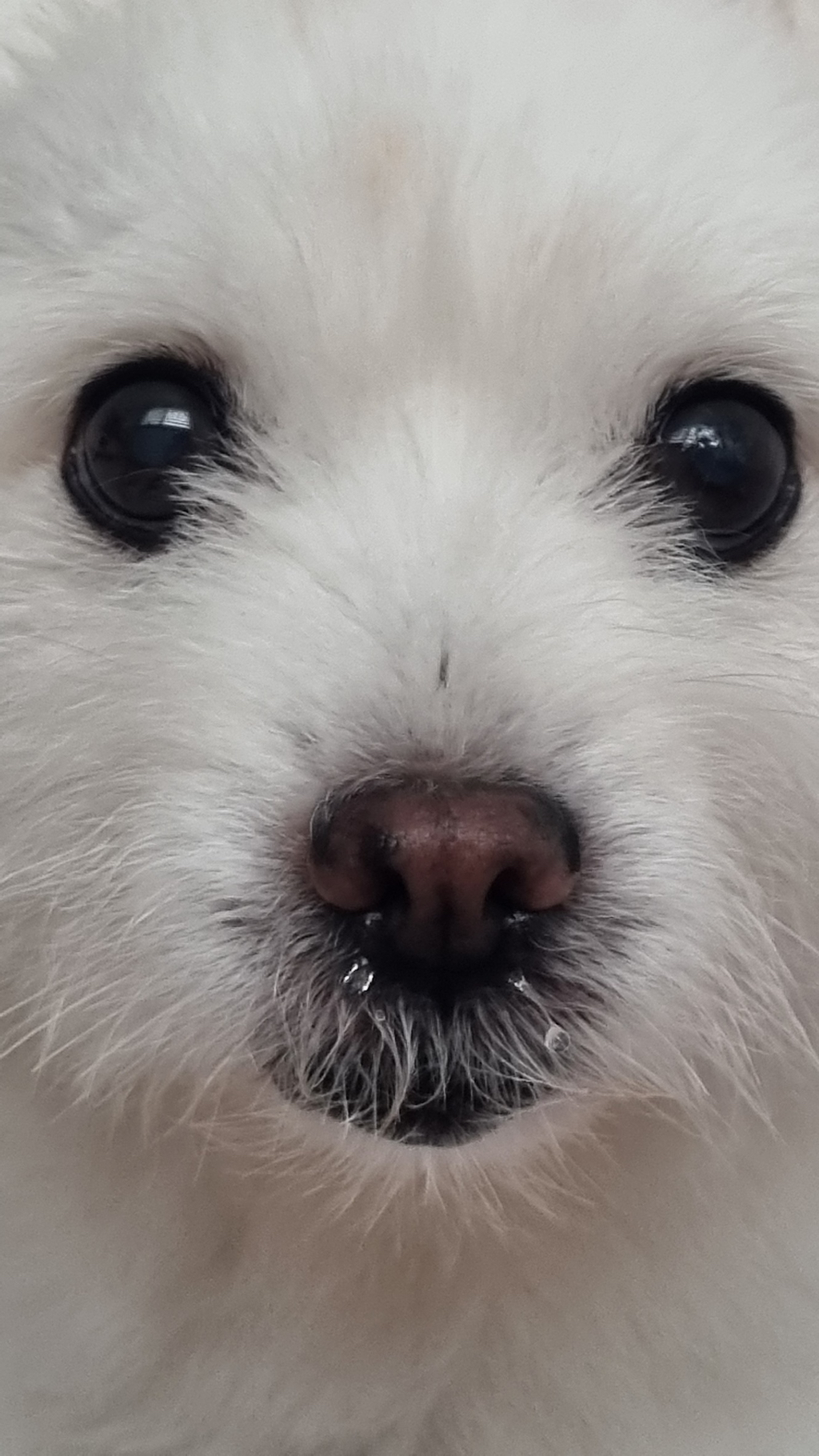 주댕이-털-면도했는데-이거-어캄?!!!-23-이미지