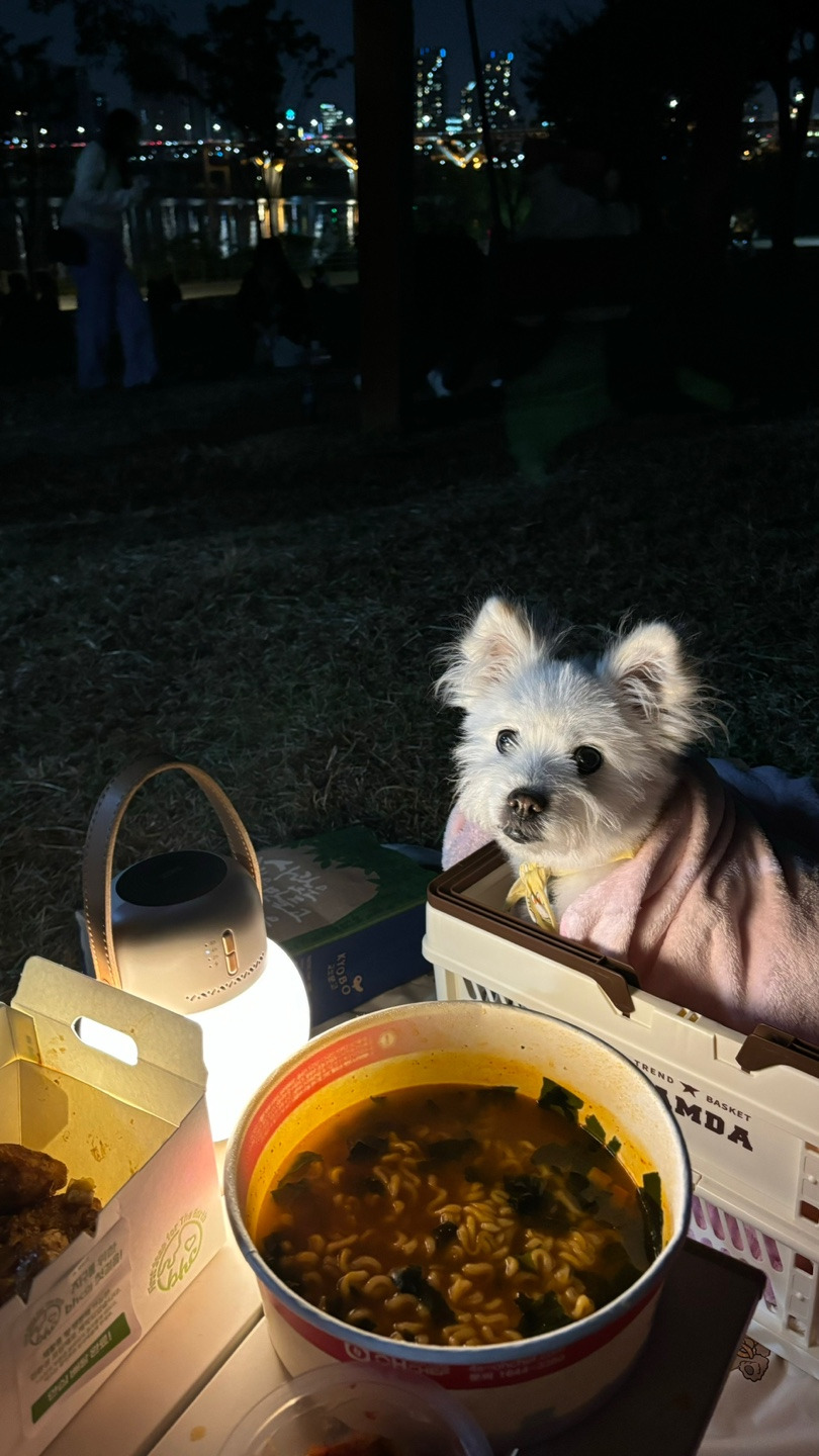 주댕이-털-면도했는데-이거-어캄?!!!-16-이미지