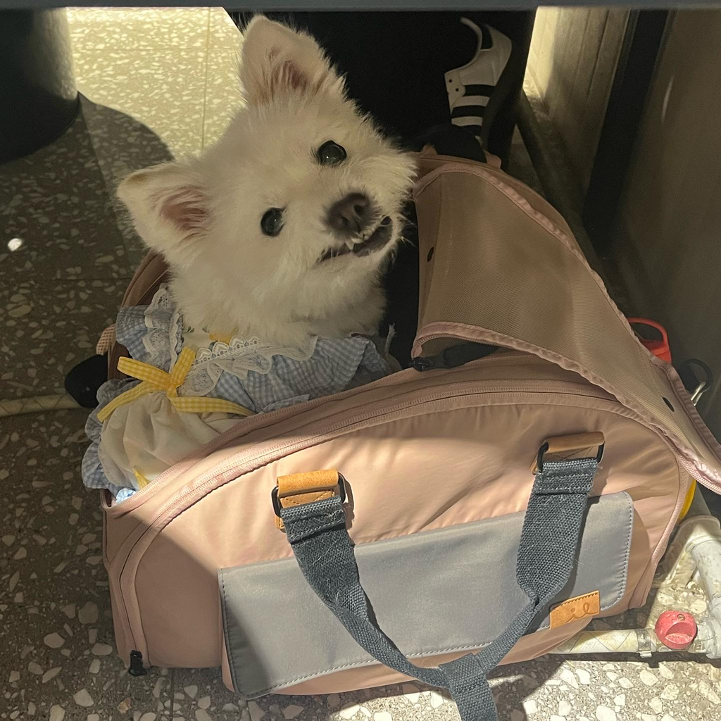 주댕이-털-면도했는데-이거-어캄?!!!-45-이미지