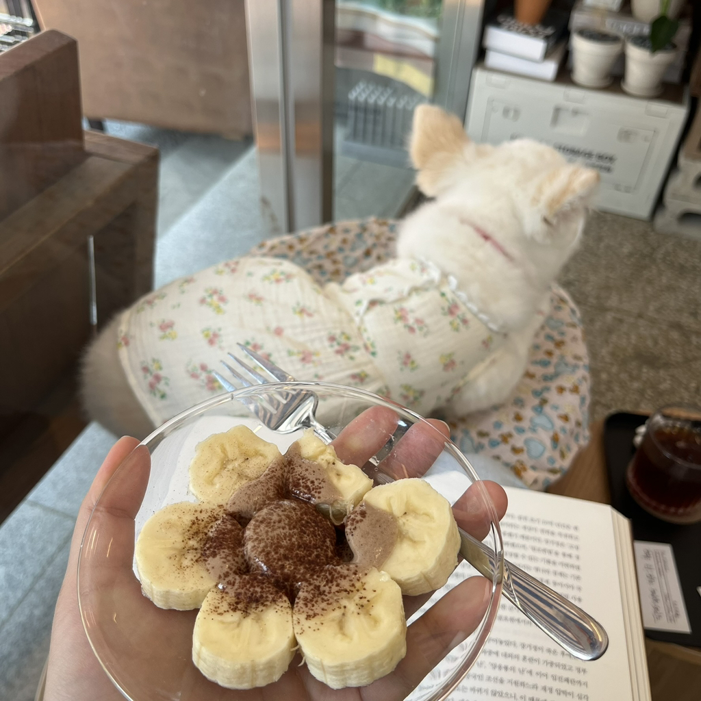 주댕이-털-면도했는데-이거-어캄?!!!-38-이미지