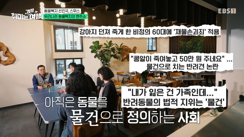 동물-키울거면-무조건-2마리-이상-키워야-한다는-나라.jpg-13-이미지