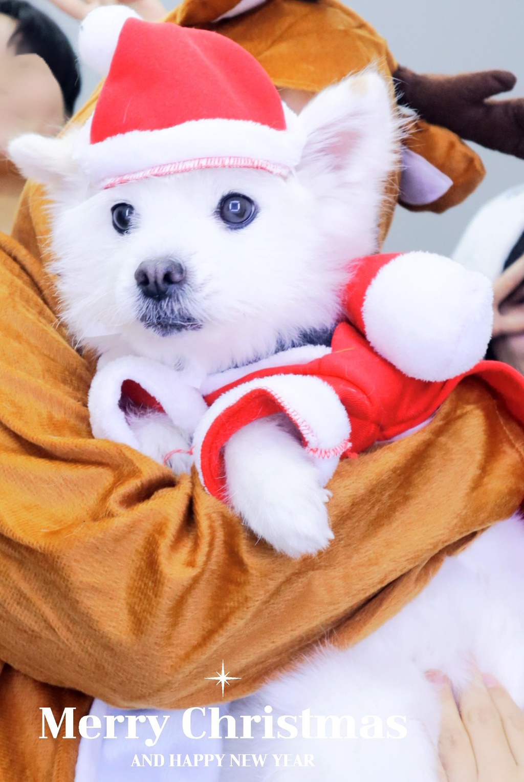 주댕이-털-면도했는데-이거-어캄?!!!-6-이미지